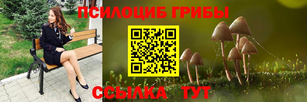 Псилоцибиновые грибы Psilocybe Скопин